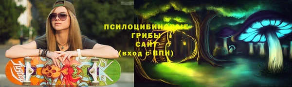 ГАЛЛЮЦИНОГЕННЫЕ ГРИБЫ Белокуриха