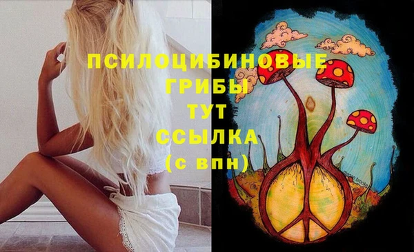 ПСИЛОЦИБИНОВЫЕ ГРИБЫ Армянск