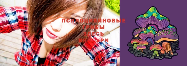 ГАЛЛЮЦИНОГЕННЫЕ ГРИБЫ Белокуриха